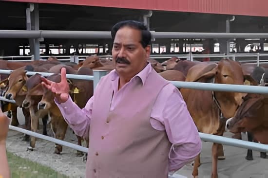 India scales up Pure Gir embryo transfer programme