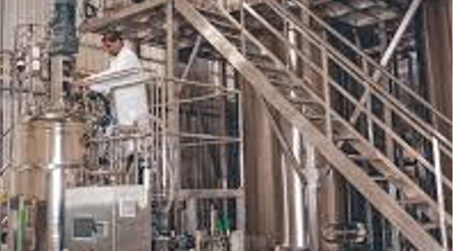 Investment Surges Back Into Precision-Fermented Dairy