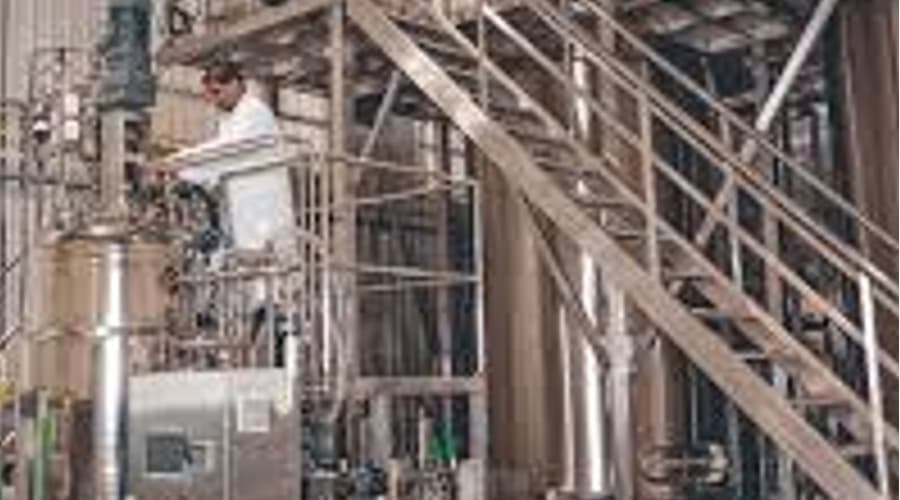 Investment Surges Back Into Precision-Fermented Dairy