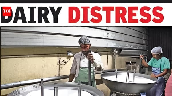 LPG curbs disrupt dairy, milk collection falls