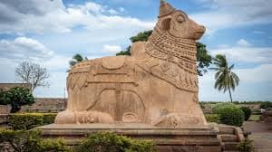 Nandi: The Unsung Pillar of India’s Dairy Sector