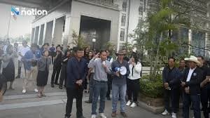 Thai Farmers Seek Halt to Milk Powder Imports