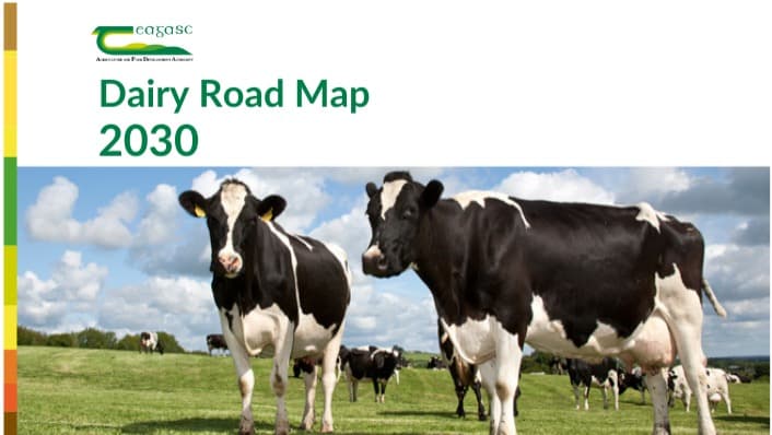 Teagasc Launches Dairy Road Map 2030 to Drive Sustainability & Resilience