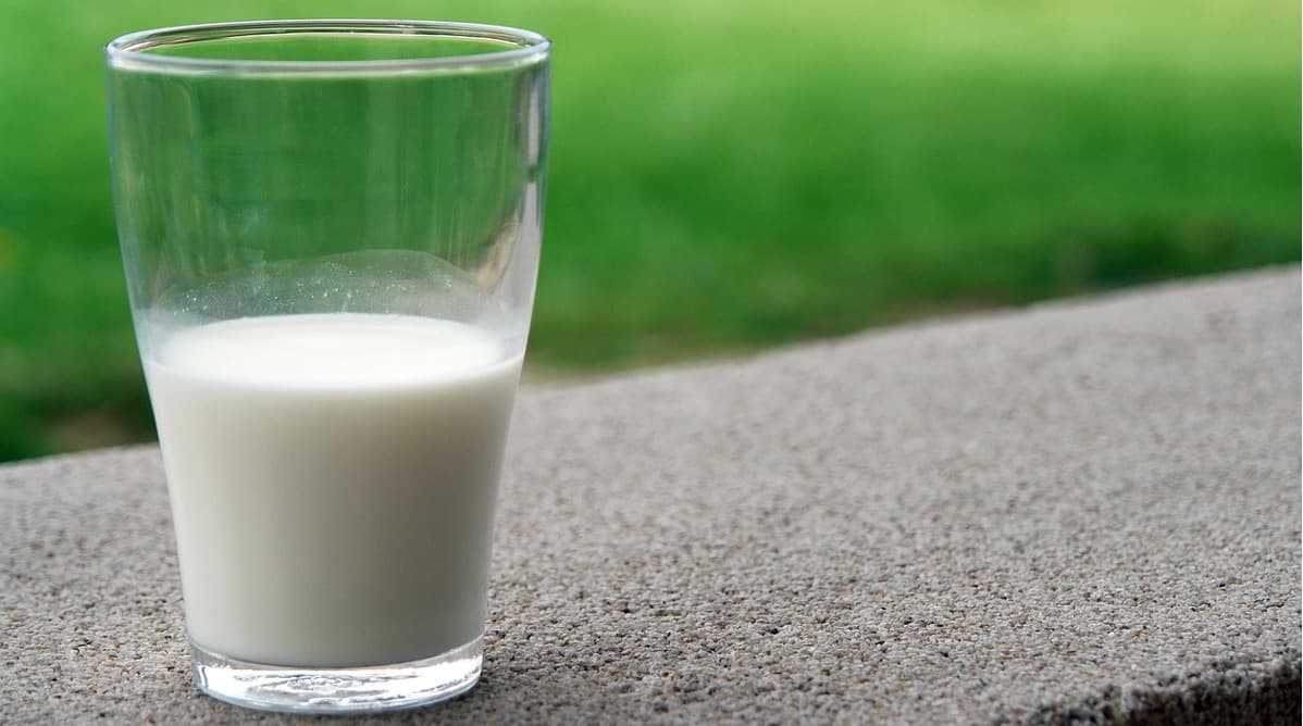 US Dietary Guidelines Put Full-Fat Dairy in Spotlight