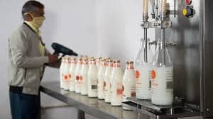 India’s Dairy Growth Slows Amid Supply Crunch