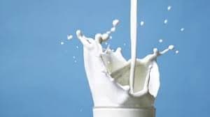 KMF Milk Collection Rises Despite Heat Surge