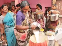 Milk Stalls to Be Allotted to Dairy Cooperatives