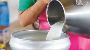 UP Milk Output Jumps 40%, Ranks No.1
