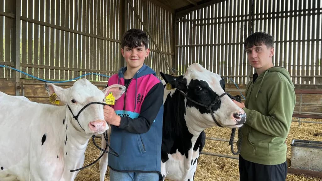 Milk Prices Fall Below Costs, Farmers Warn of Crisis