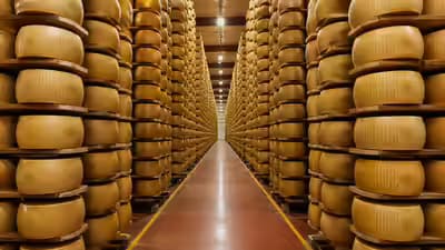 Italy’s ‘Cheese Banks’ Power €4Bn Dairy Economy