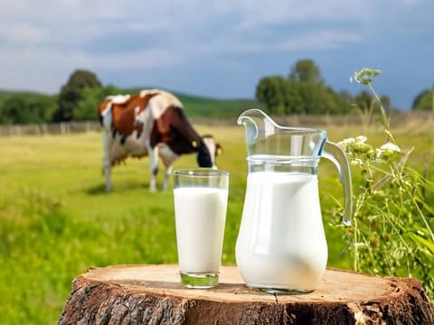 Dairy Milk Shows Edge in Bone Health Debate