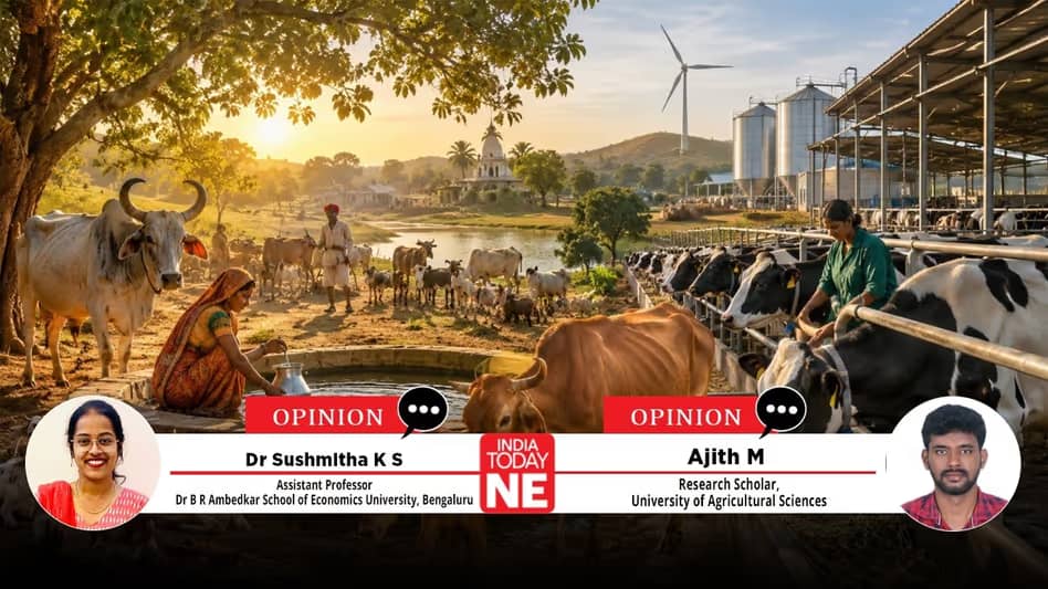 India’s Livestock Care Shifts Toward Productivity