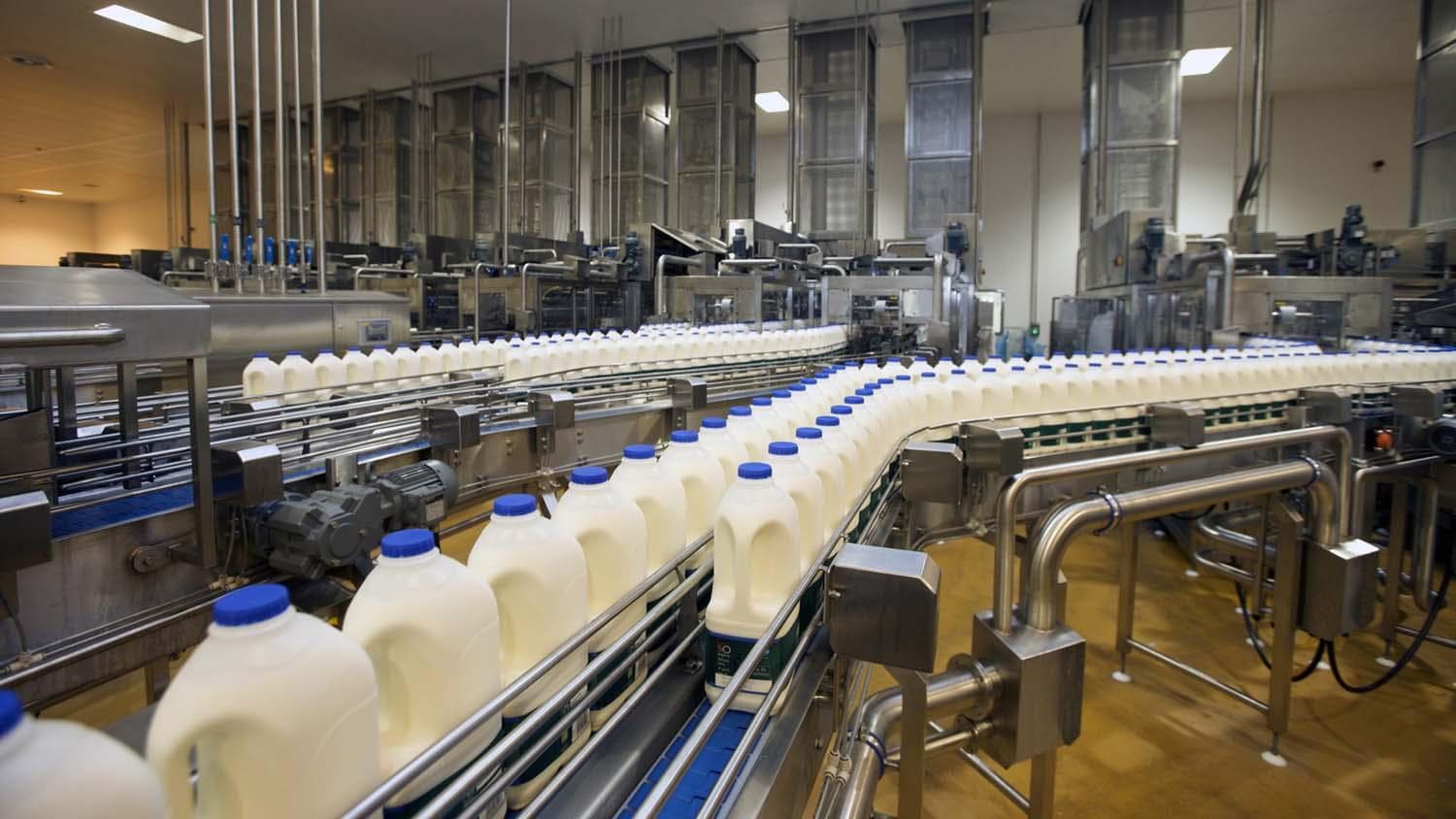 Class IV Surges as Milk Price Gap Hits 6-Year High