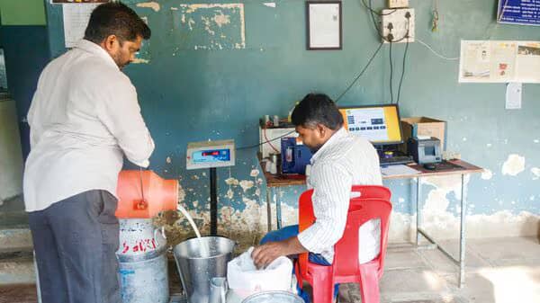India’s Milk Output Seen Rising 6% in FY27