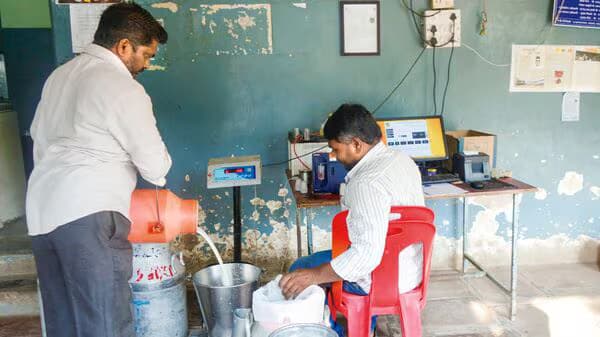 India’s Milk Output Seen Rising 6% in FY27