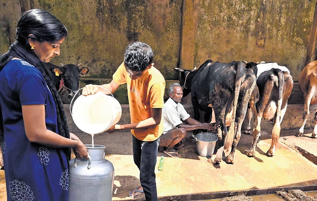TN Dairy Farmers Seek Higher Milk Procurement Prices