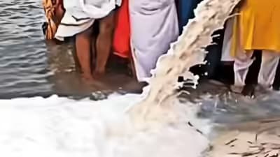 Experts Warn Milk Dumping Pollutes Rivers