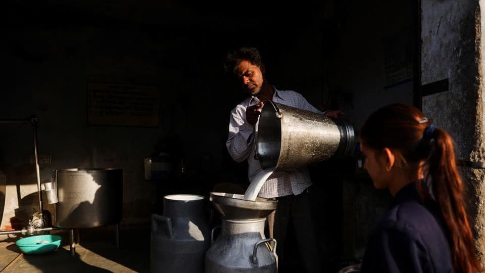 Maharashtra Milk Collection Drops After FDA Crackdown