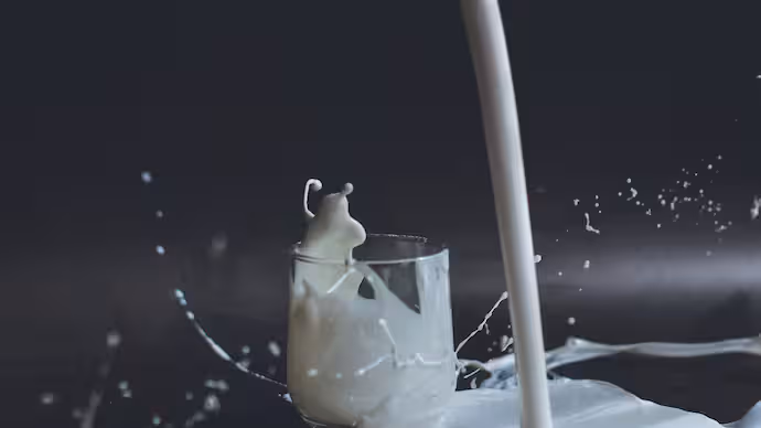Maharashtra Fake Milk Racket Sparks Food Safety Alarm