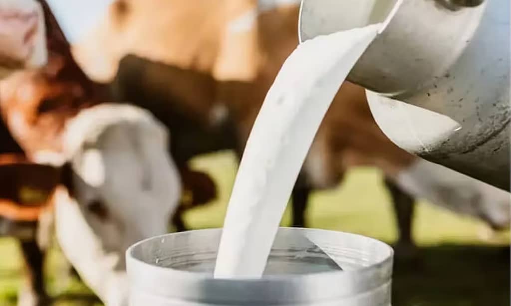 Tamil Nadu Faces Fresh Milk Supply Crunch