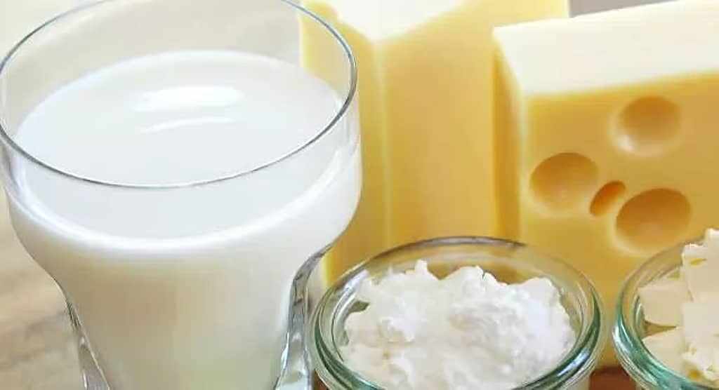 Technology Push Can Transform Assam Dairy Cooperatives