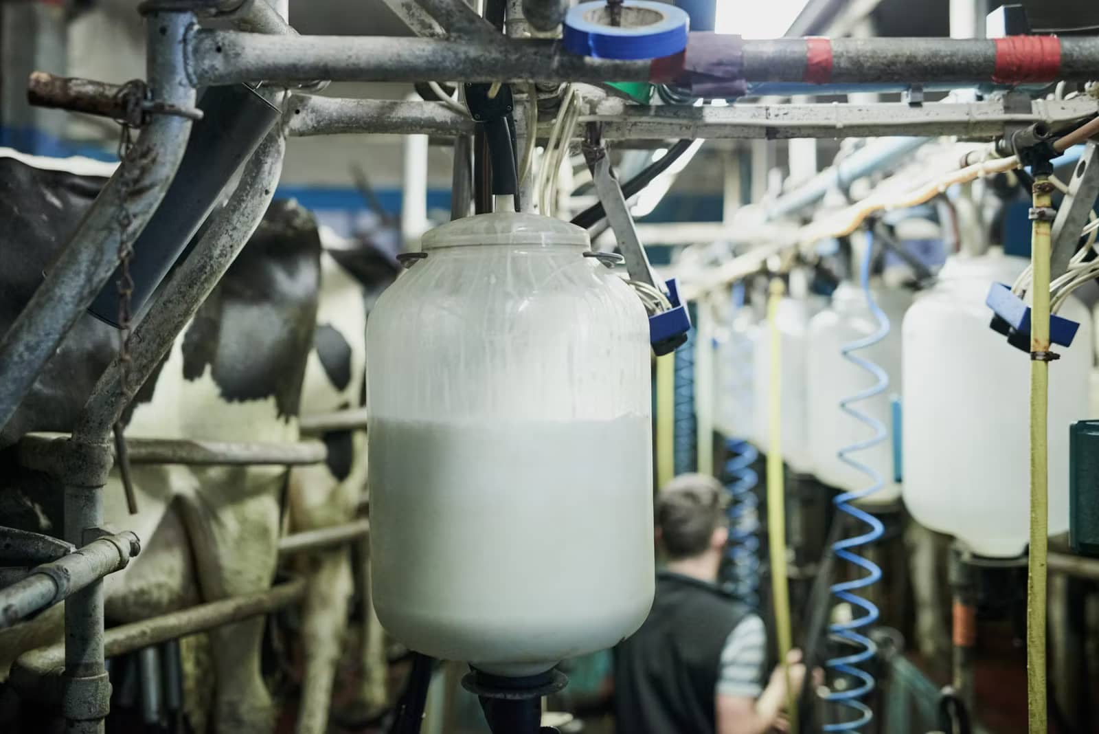 Ireland’s Liquid Milk Producers Continue to Decline