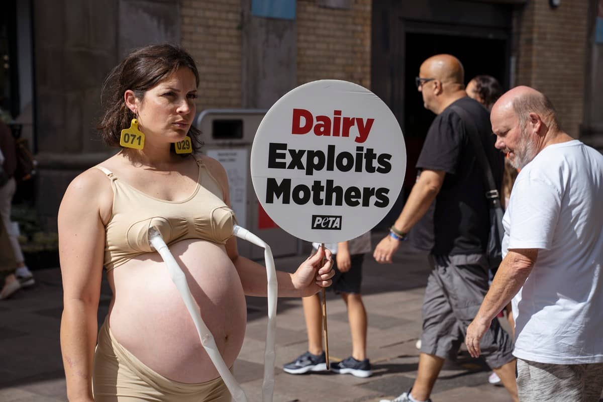 PETA Protest Targets Dairy Milk Consumption