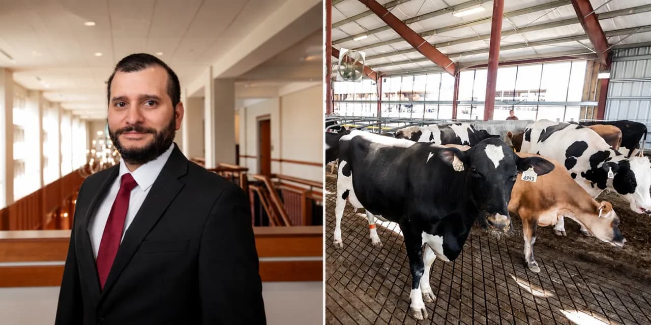 Feeding Strategies Could Build More Resilient Dairy Cows