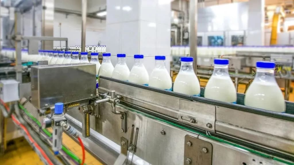 Dairy Firms Shift Up the Value Chain for Better Returns