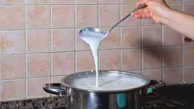 Mathura Raid Exposes 1,500 Kg Fake Paneer