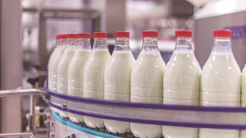 Climate Risks May Widen India’s Milk Supply Gap