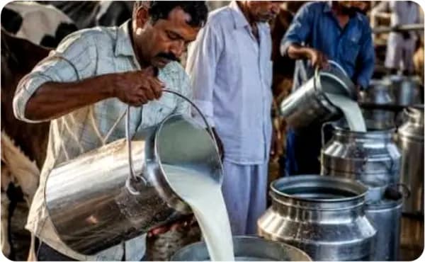 Karnataka Milk Producers Seek ₹8/Litre Price Hike