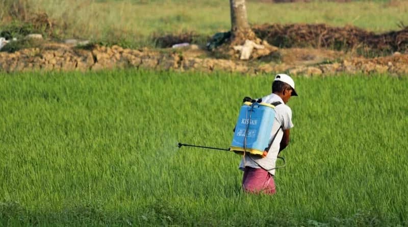 India’s Pesticide Sector Moves to Digital Compliance