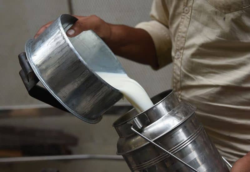 India’s Protein Demand Set to Triple by 2070
