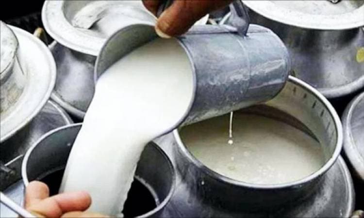 Kerala, Karnataka Cooperatives Clash Over Cross-Border Milk Sales