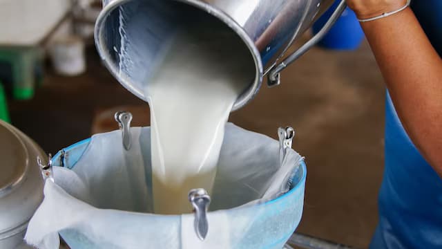 Milk Prices May Rise Further During Festive Season