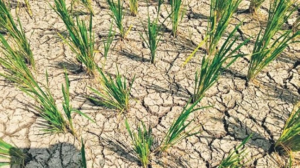 El Niño May Raise Karnataka Drought Risk in 2027