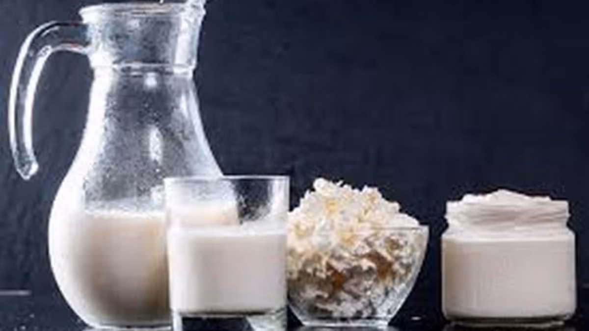 Barauni Dairy Audit Flags Financial Irregularities