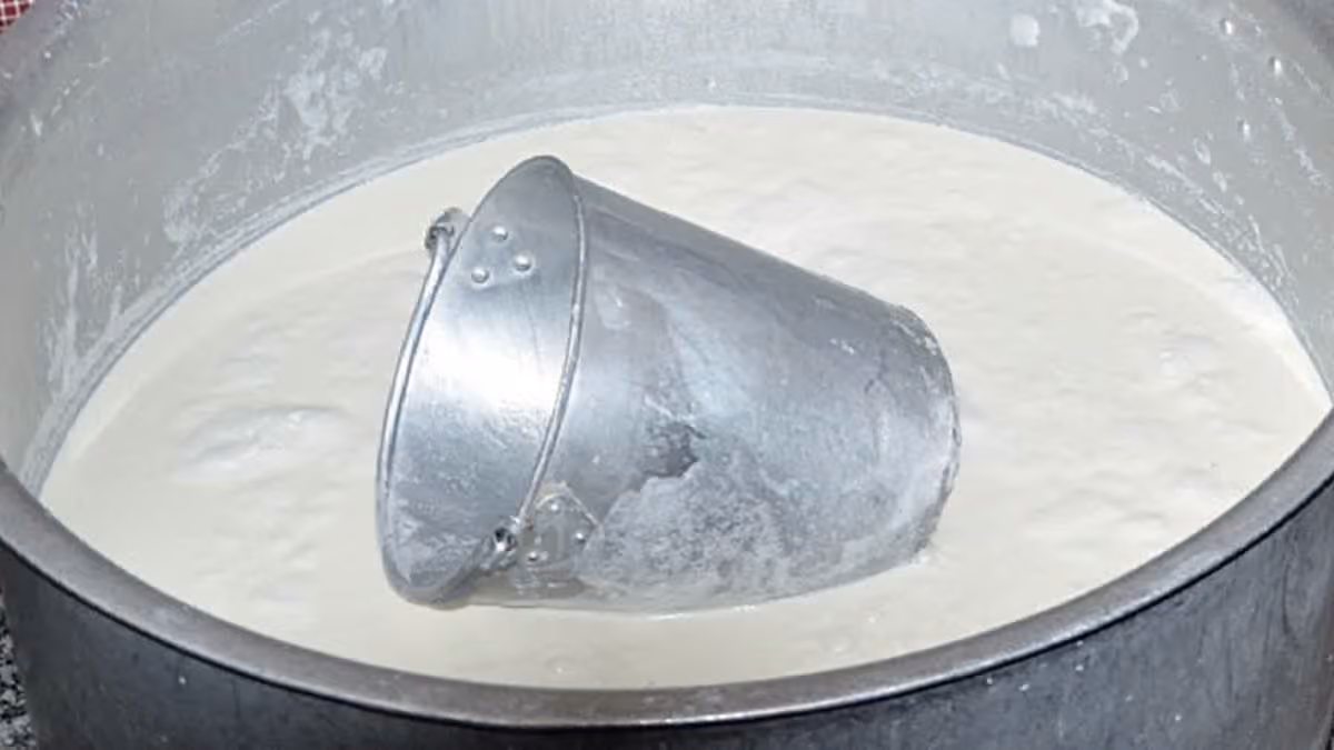 Gujarat Dairy Growth Faces Rising Feed Costs