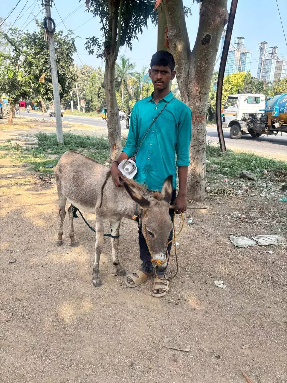 Donkey Milk Demand Grows in North Telangana, With 50 ml Selling for ₹50