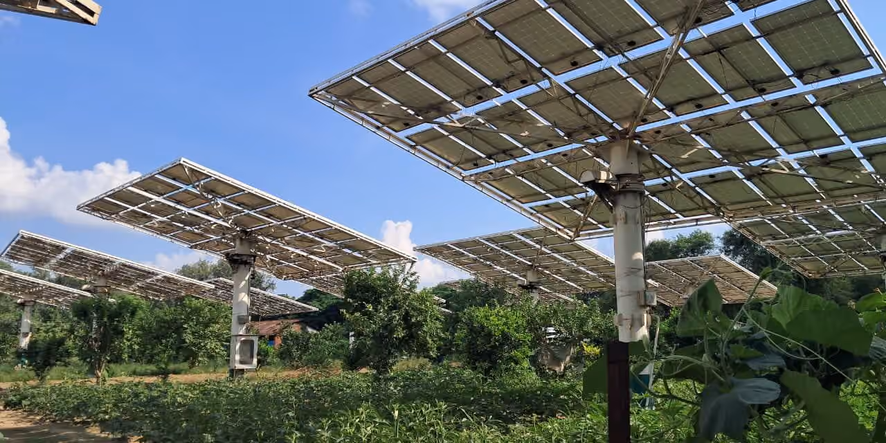 Agrivoltaics: Solar Power Meets Food Production