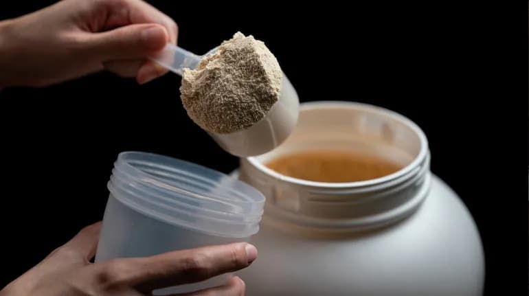 India eyes end-to-end protein ecosystem across dairy and plant ingredients