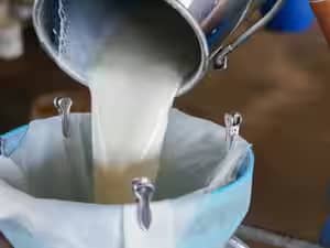 Karnataka Hikes Milk Prices by ₹8/Litre From November 1