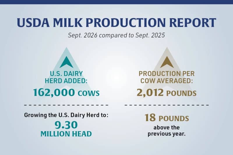 U.S. Milk Production Rises 2.7% in September as Butterfat Levels Reach Historic Highs
