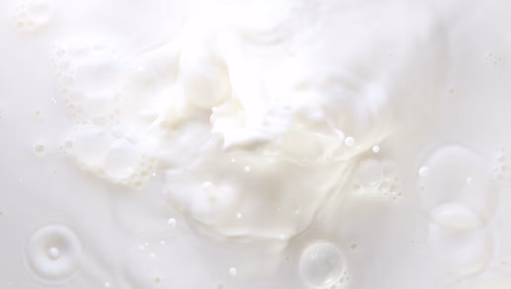 Milk Powder Prices Rise as Butter and AMF Decline at Pulse 120