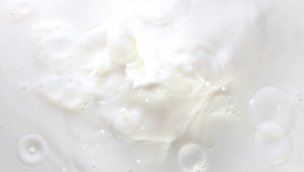 Milk Powder Prices Rise as Butter and AMF Decline at Pulse 120