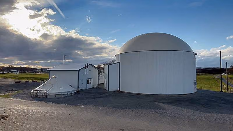 Plant Biomass Could Make Dairy Biogas More Profitable