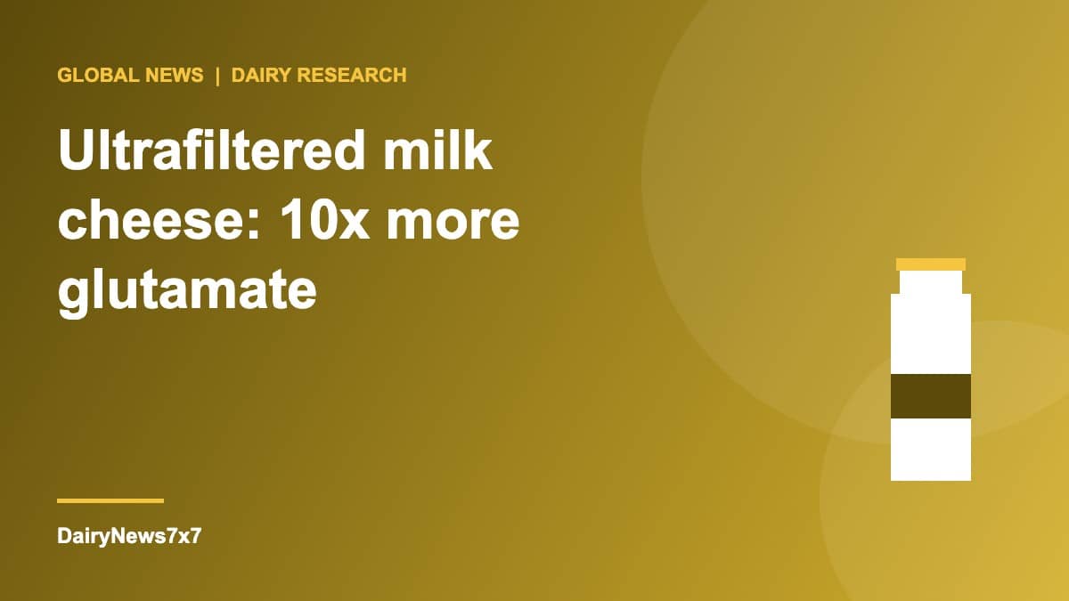 Ultrafiltered Milk Cheese Shows 10 Times More Glutamate in New Flavour Study