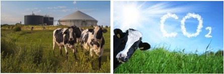 Supply chain companies play a “critical” role in reducing dairy emissions - Dairy News 7X7