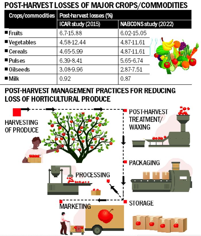 Farmers’ gains hinge on curbing post-harvest losses - Dairy News 7X7